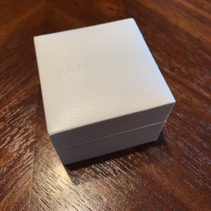 Cinderella Pandora Charm